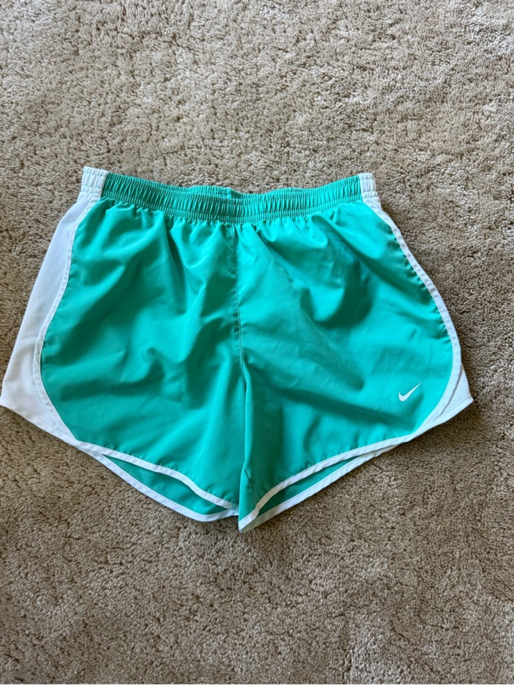 Nike Dri Fit shorts